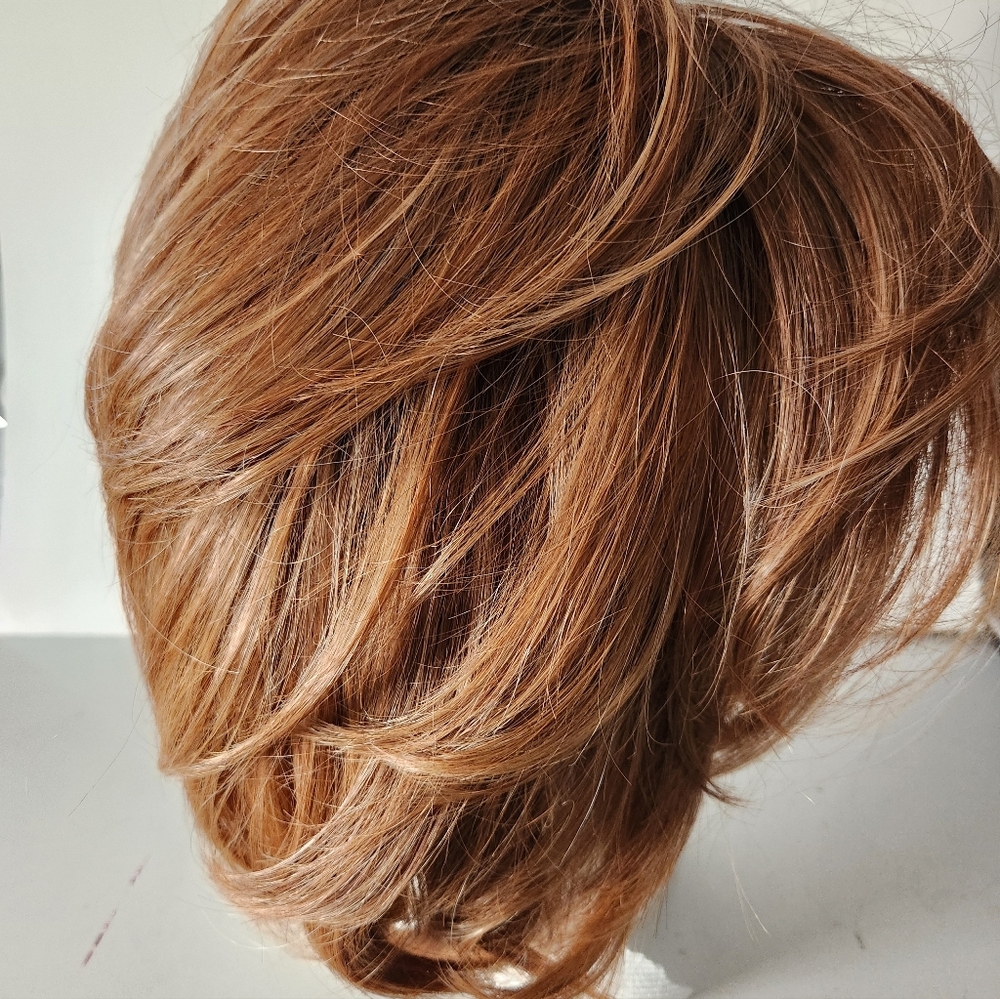 Raquel Welch IN CHARGE Shaded Iced Pumpkin Spice  RL29/33SS NWT BOX LARGE - Picture 4 of 10